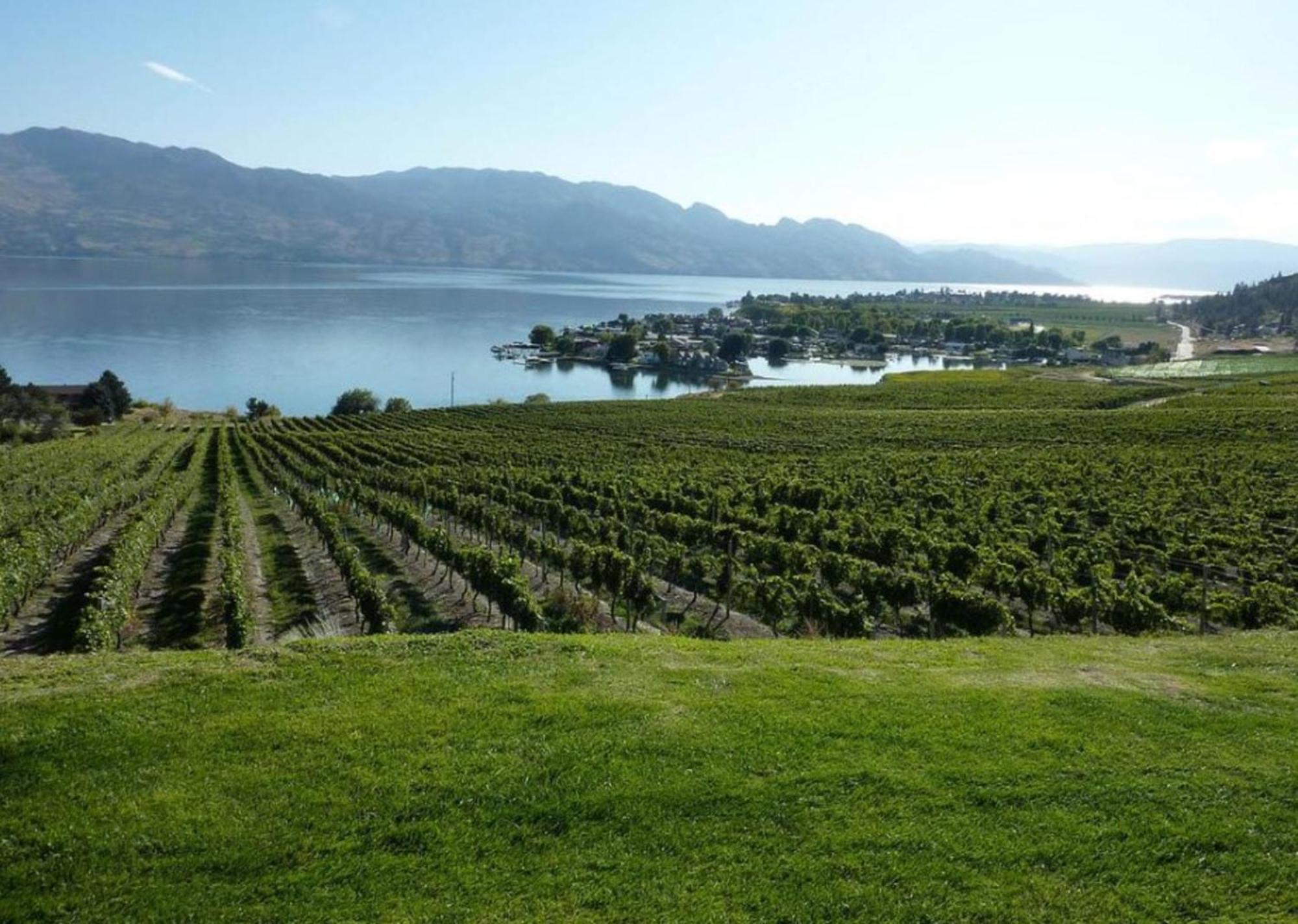 Holiday Inn Hotel & Suites Osoyoos By Ihg Eksteriør billede